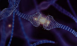 world depends on data we power and cool<sup>™</sup>